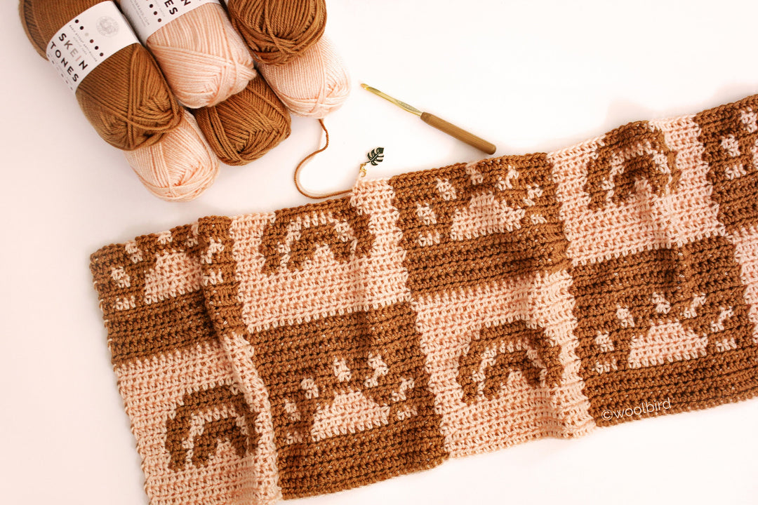 Ray Of Sunshine Baby Blanket Crochet Pattern