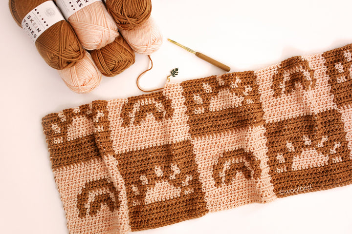Ray Of Sunshine Baby Blanket Crochet Pattern